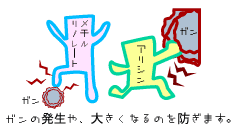 ガンの発生や大きくなるのを防止